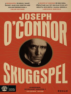 cover image of Skuggspel